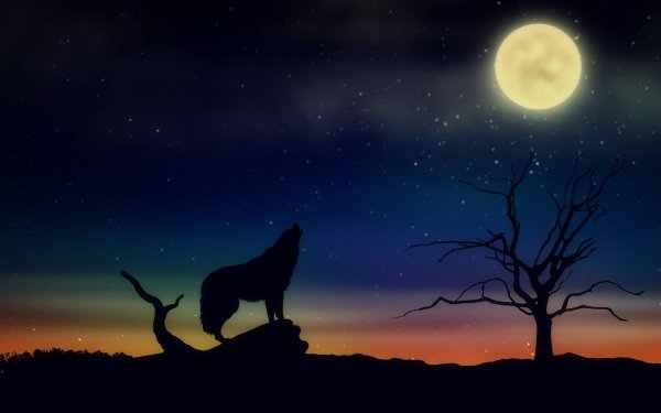 Fantasy Wolf Fantasy Animals Howling Moon HD Wallpaper | Background Image
