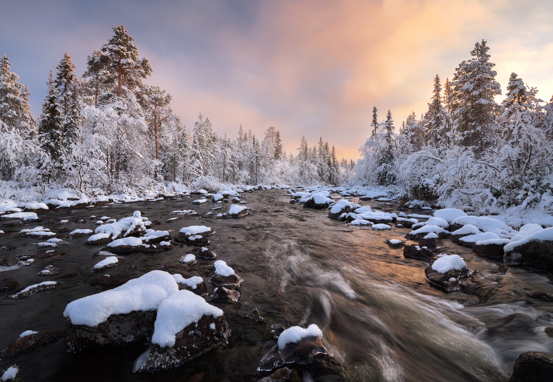 Снегопад в лесу фото