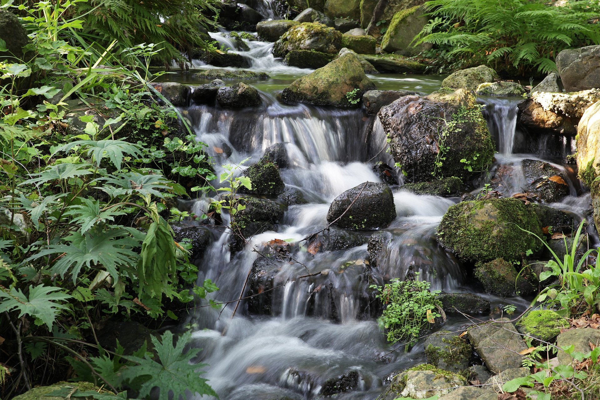 Little waterfall by Tommyboy42