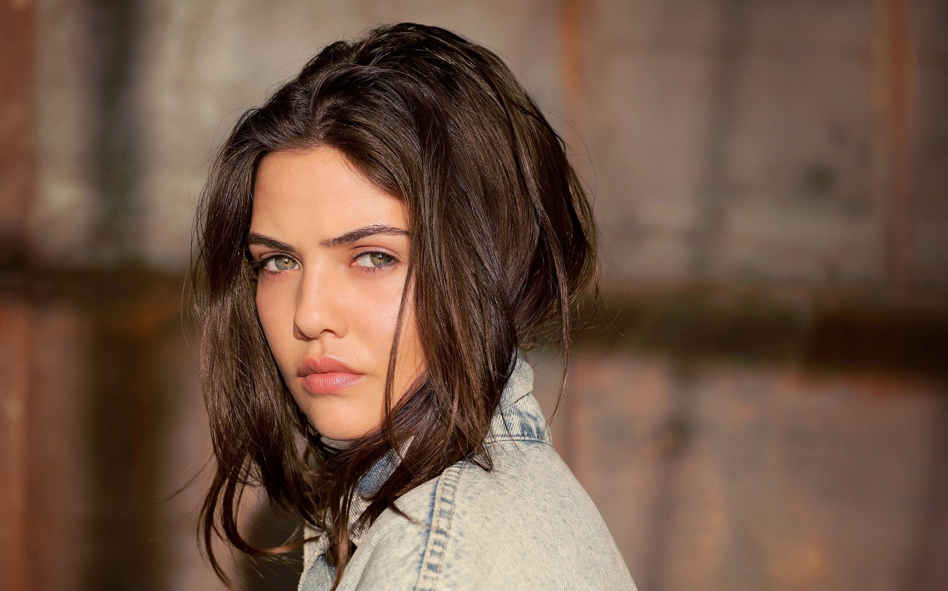 Download American Brunette Depth Of Field Model Actress Celebrity Danielle Campbell HD Wallpaper