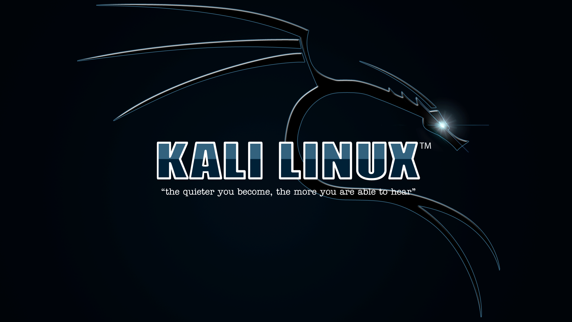 Kali Linux 高清壁纸 | 桌面背景 | 1920x1080 | ID:1044079 - Wallpaper Abyss