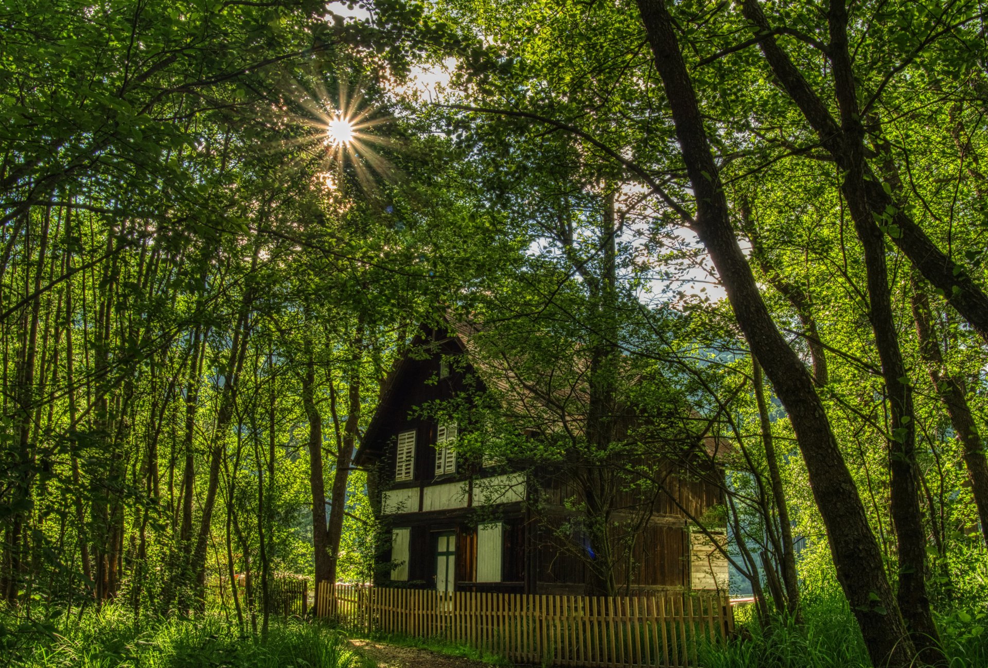 2K Quad HD PC desktop wallpaper: a man-made Austrian cabin nestled in a sunlit green forest, sunburst filtering through tall trees.