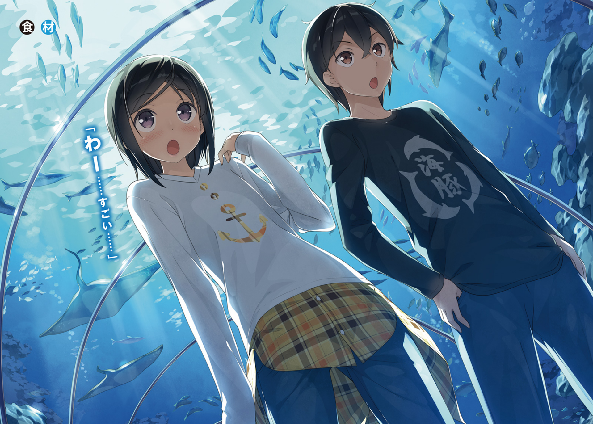A Sister's All You Need Chihiro Download Itsuki Hashima Chihiro Hashima Anime A Sister's All You Need