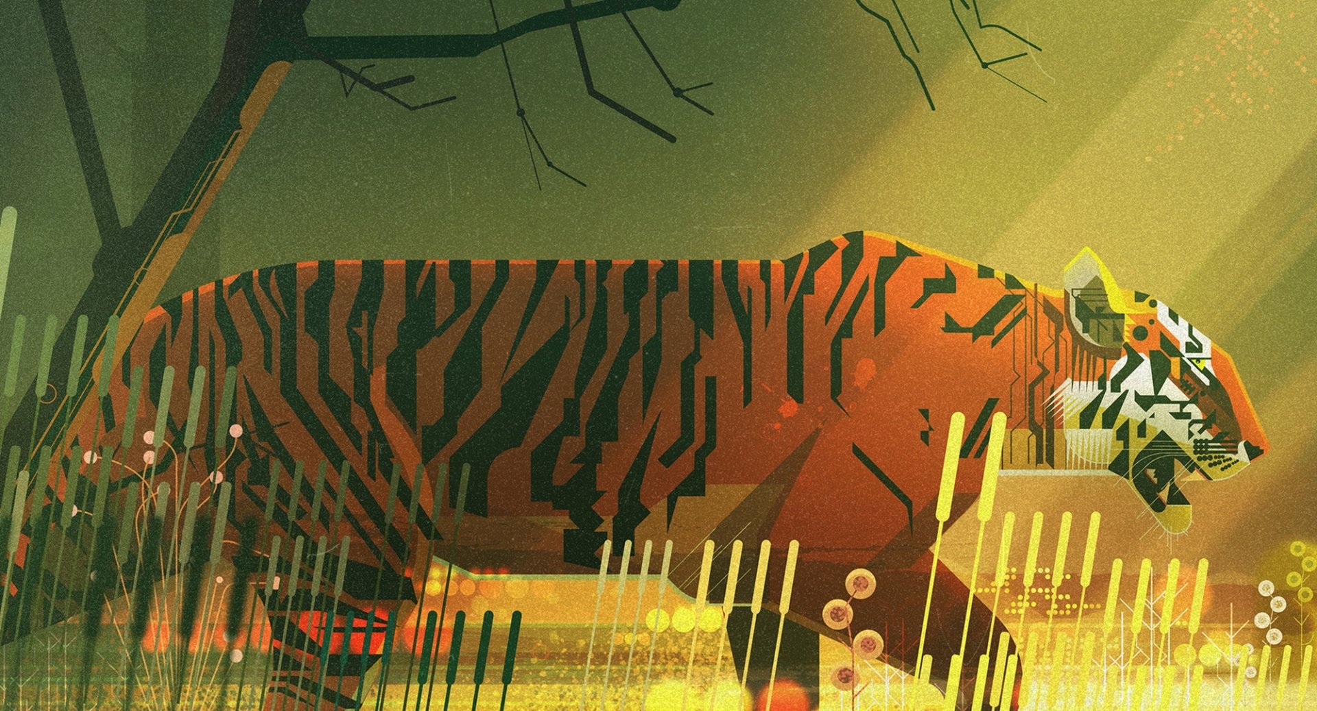 Download Animal Tiger HD Wallpaper by James Gilleard