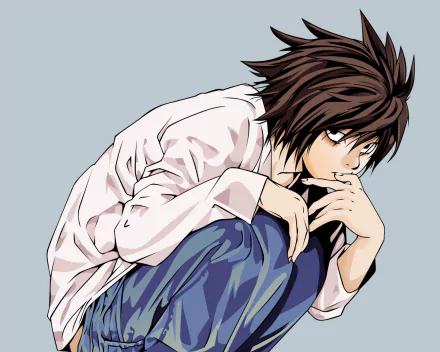 HD anime desktop wallpaper featuring L from Death Note, depicted crouching thoughtfully against a light blue background.