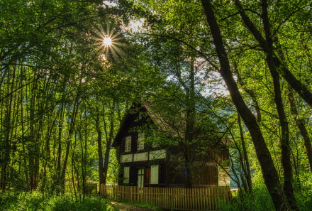  Cabin in Austrian Forest
