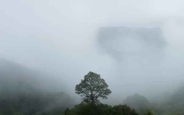 national park Costa Rica jungle nature cloud HD Desktop Wallpaper | Background Image