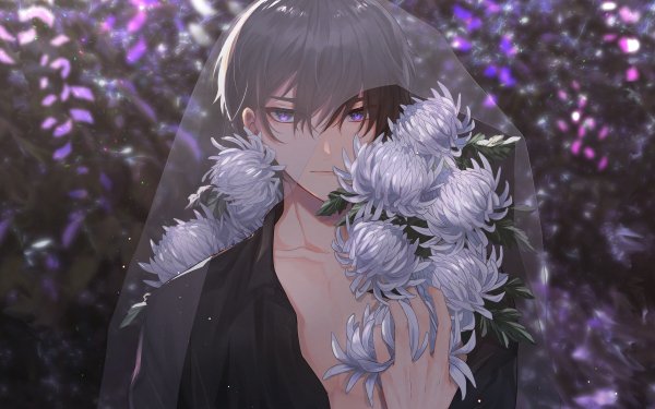 Anime Original HD Wallpaper | Background Image