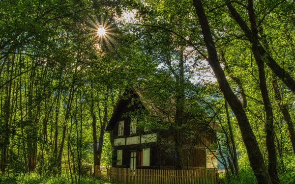 2K Quad HD PC desktop wallpaper: a man-made Austrian cabin nestled in a sunlit green forest, sunburst filtering through tall trees.