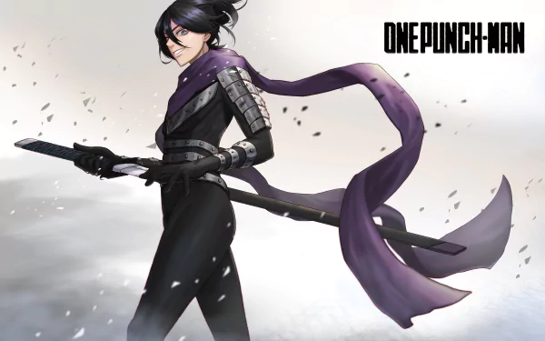 Sonic (One-Punch Man) Anime One-Punch Man HD Desktop Wallpaper | Background Image