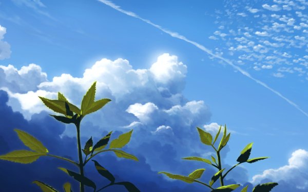 Anime Nature Sky Plant HD Wallpaper | Background Image