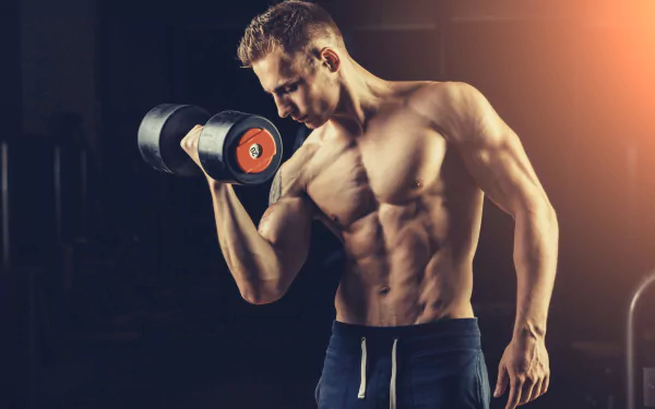 bodybuilding muscle weightlifting Sports HD Desktop Wallpaper | Background Image