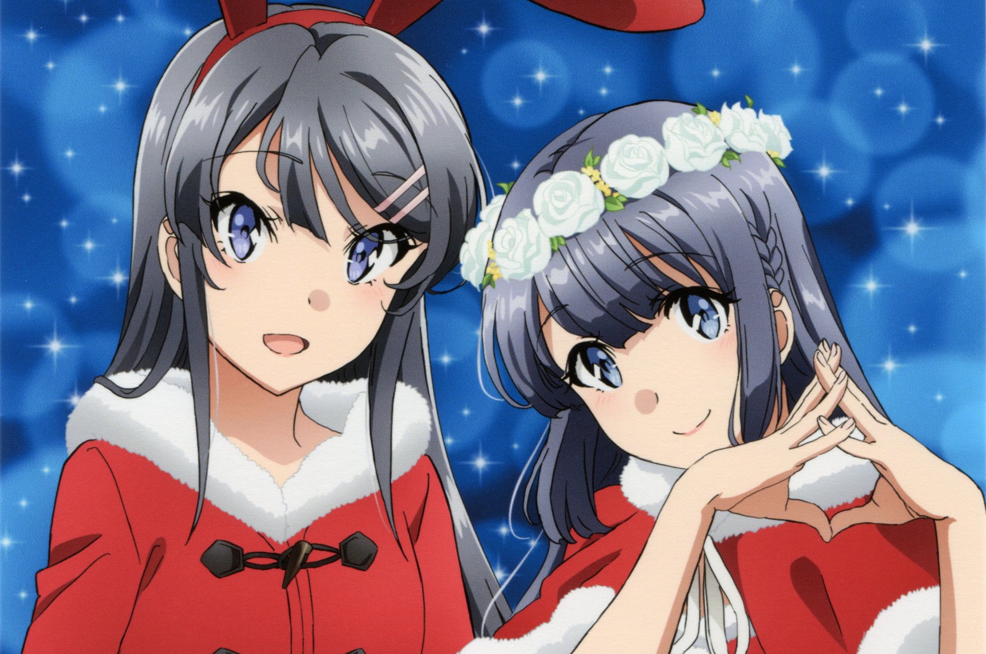 Anime Rascal Does Not Dream of Bunny Girl Senpai HD Wallpaper | Background Image