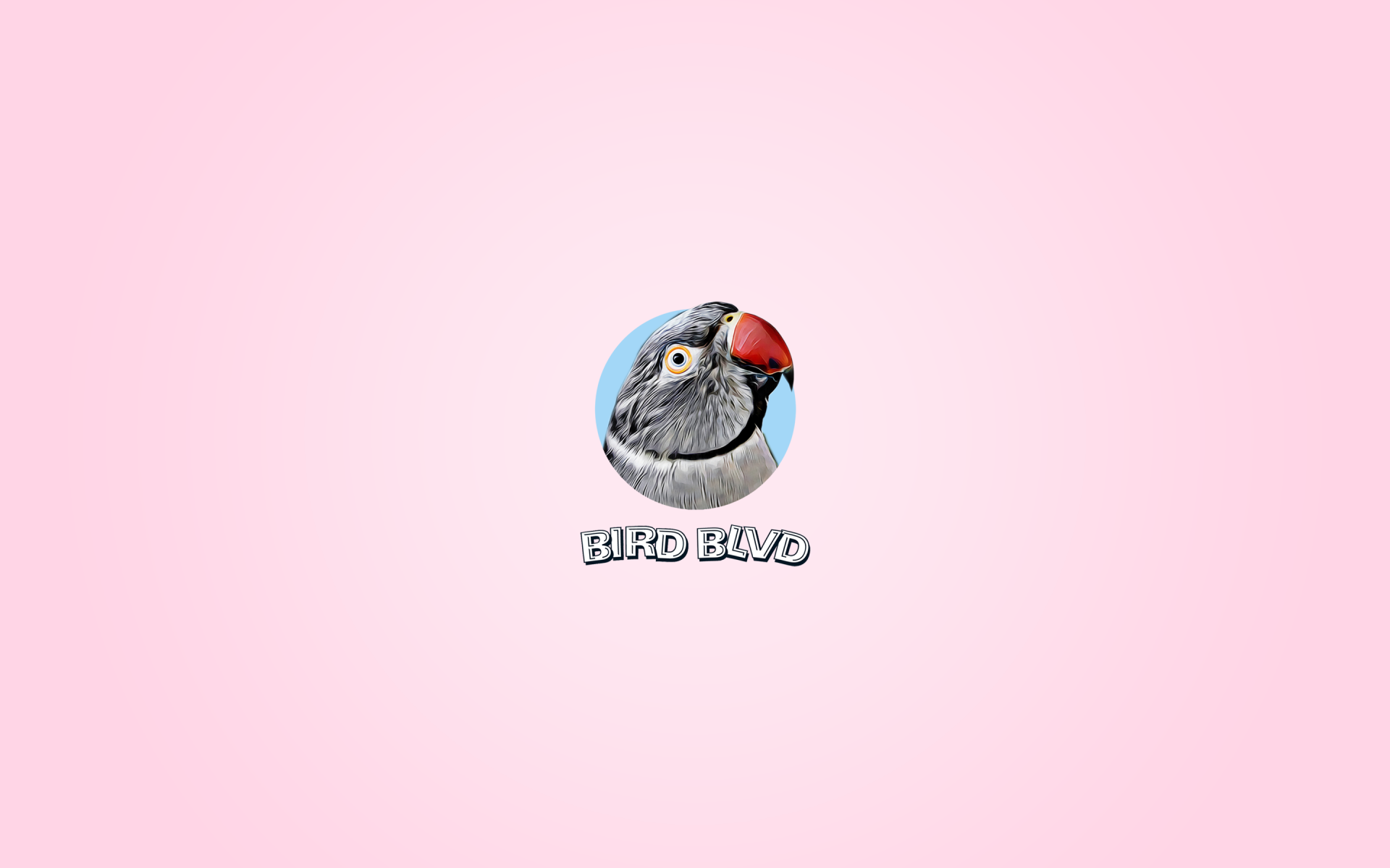 Bird Blvd - Arizona by Bird Blvd Media