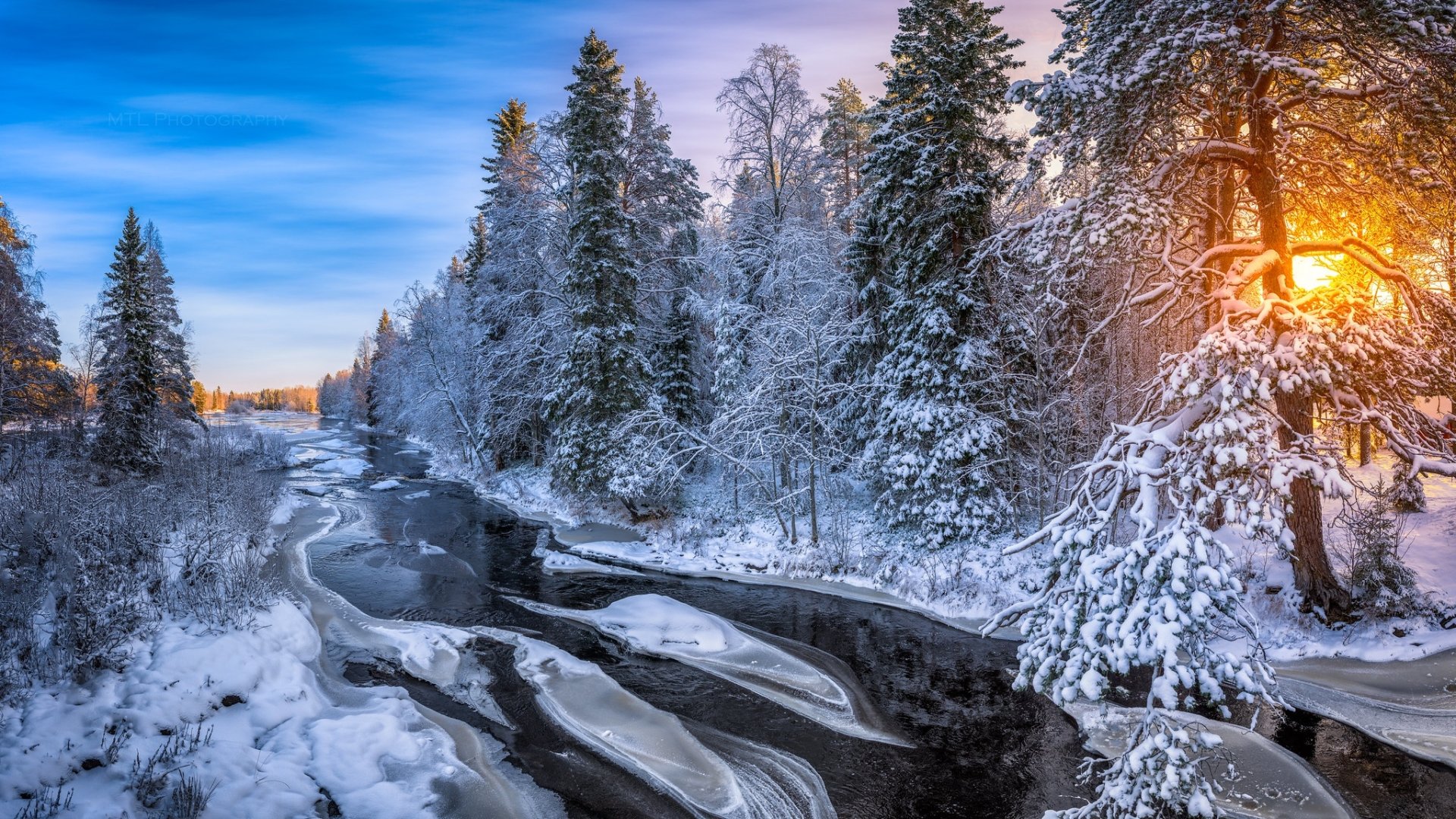 Download Nature River Forest Winter HD Wallpaper