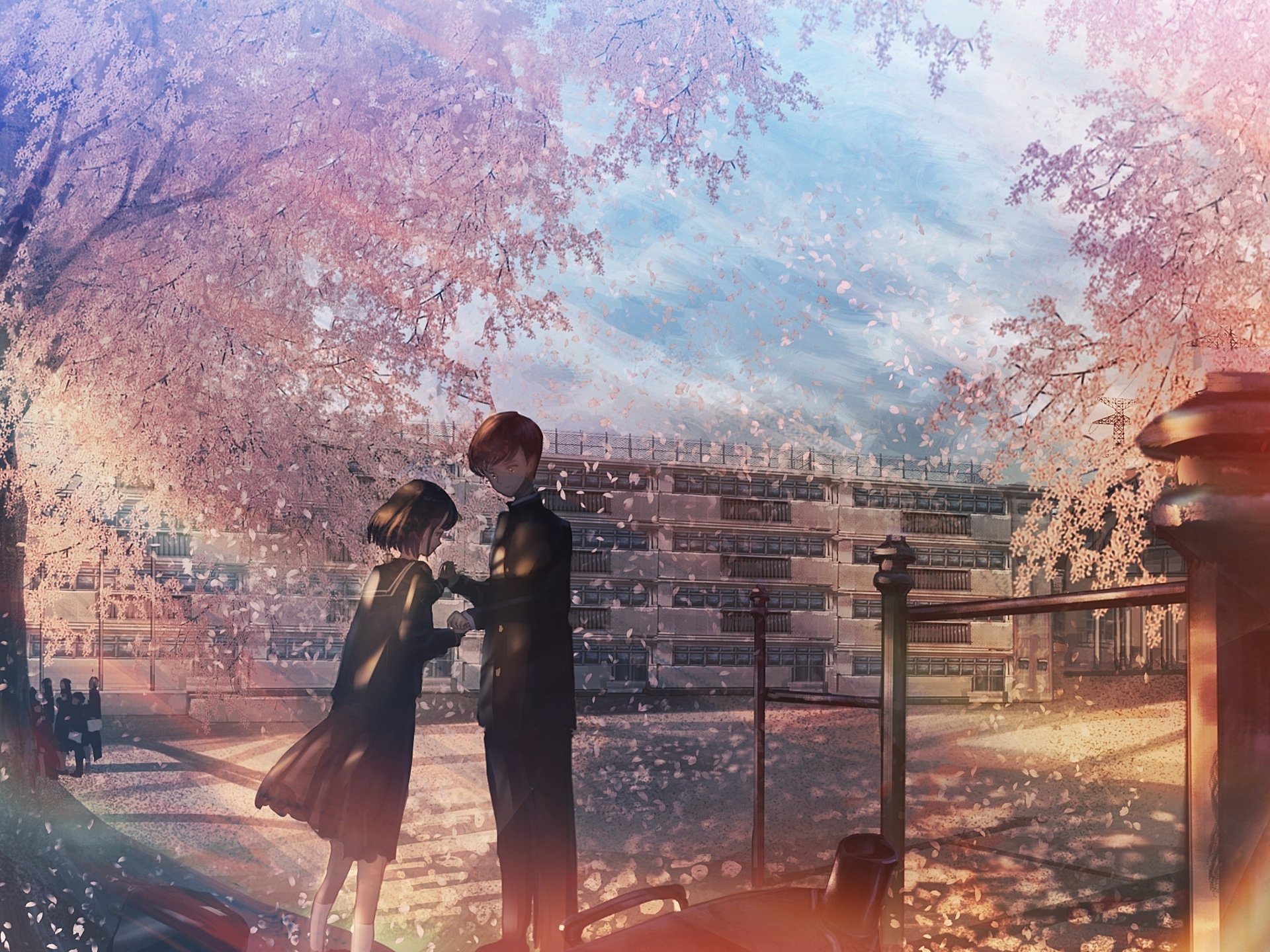 Download Cherry Blossom Anime Original HD Wallpaper by ナコモ