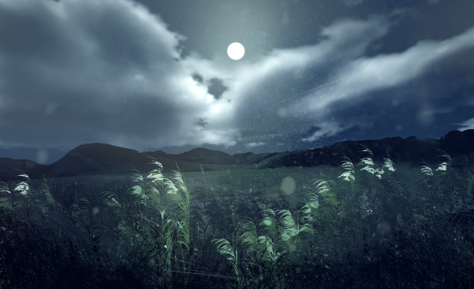 Anime-style HD desktop wallpaper depicting a serene night scene with a bright full moon shining over a cloud-filled sky and a field of glowing plants.