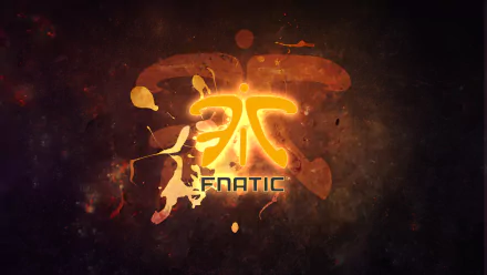 gaming team esports video game Fnatic HD Desktop Wallpaper | Background Image