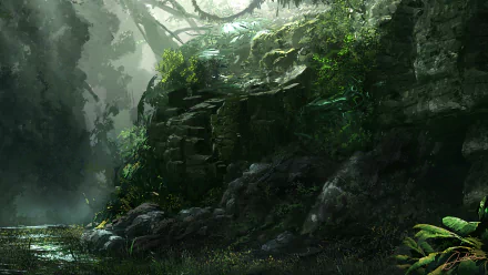  Jungle Rock by Alex van der Linde