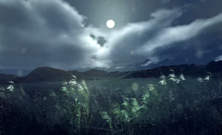Anime-style HD desktop wallpaper depicting a serene night scene with a bright full moon shining over a cloud-filled sky and a field of glowing plants.