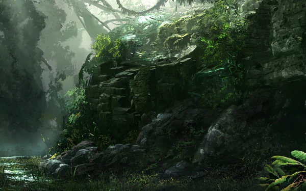  Jungle Rock by Alex van der Linde