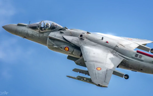 HD desktop wallpaper showcasing a McDonnell Douglas AV-8B Harrier II jet fighter warplane in flight against a clear blue sky.