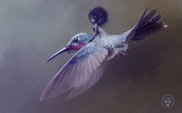 Fantasy Fairy Hummingbird Flying HD Wallpaper | Background Image