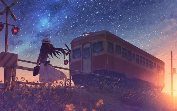 Anime Train Sunset Starry Sky Shooting Star HD Wallpaper | Background Image