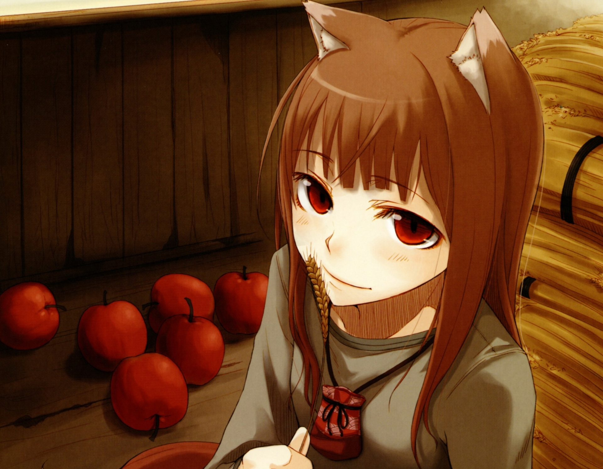 minimalist anime wallpaper spice and wolf