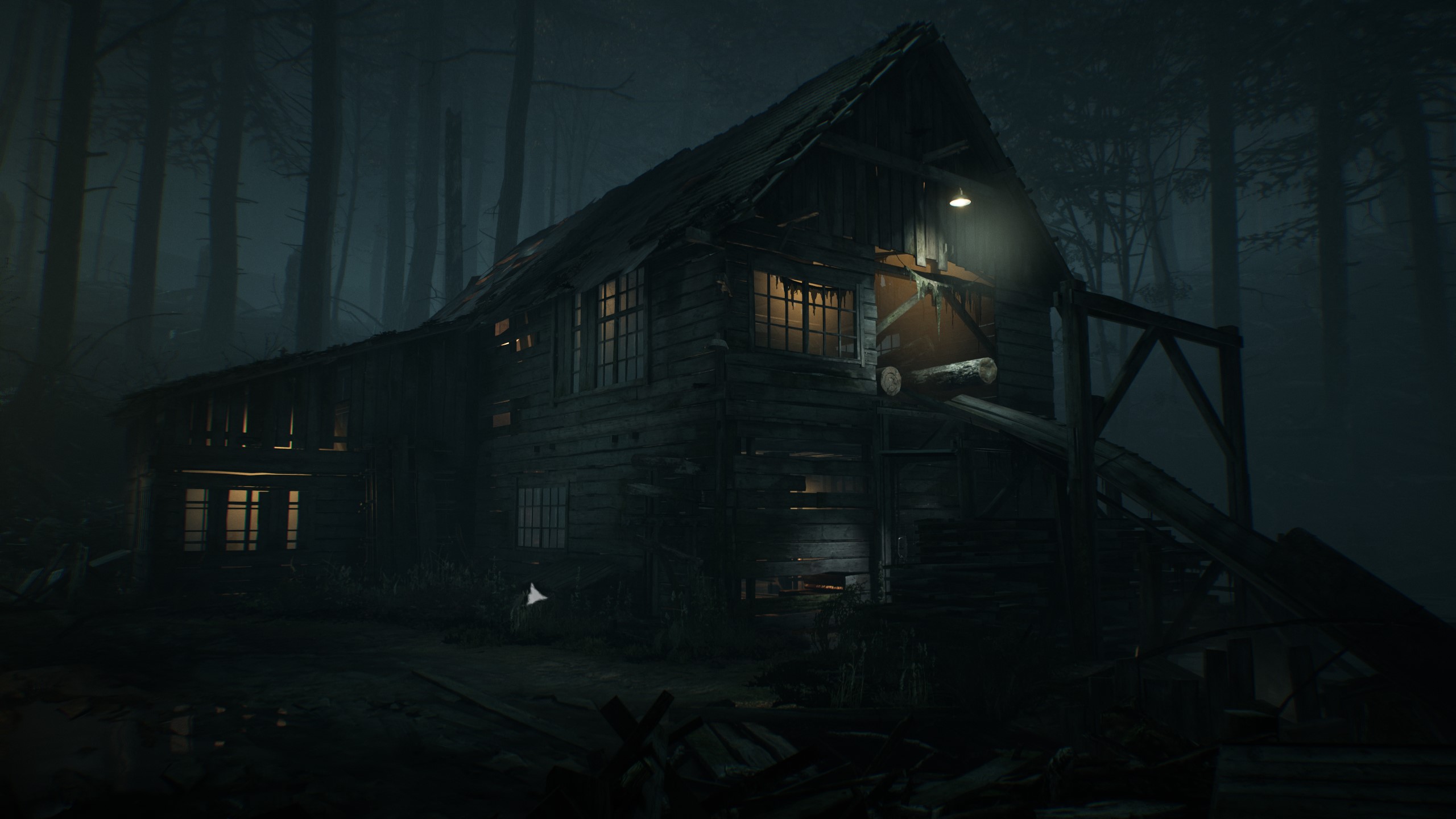 Video Game Blair Witch HD Wallpaper | Background Image