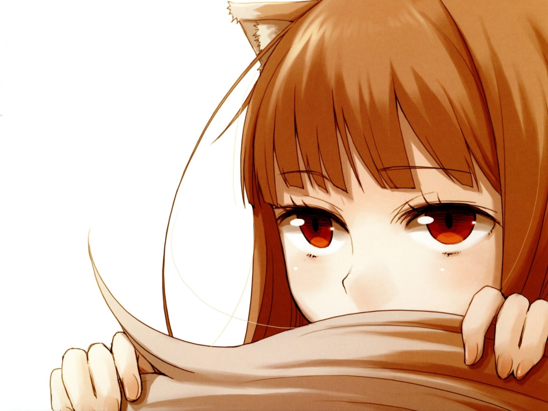 Download Holo (Spice & Wolf) Anime Spice And Wolf HD Wallpaper