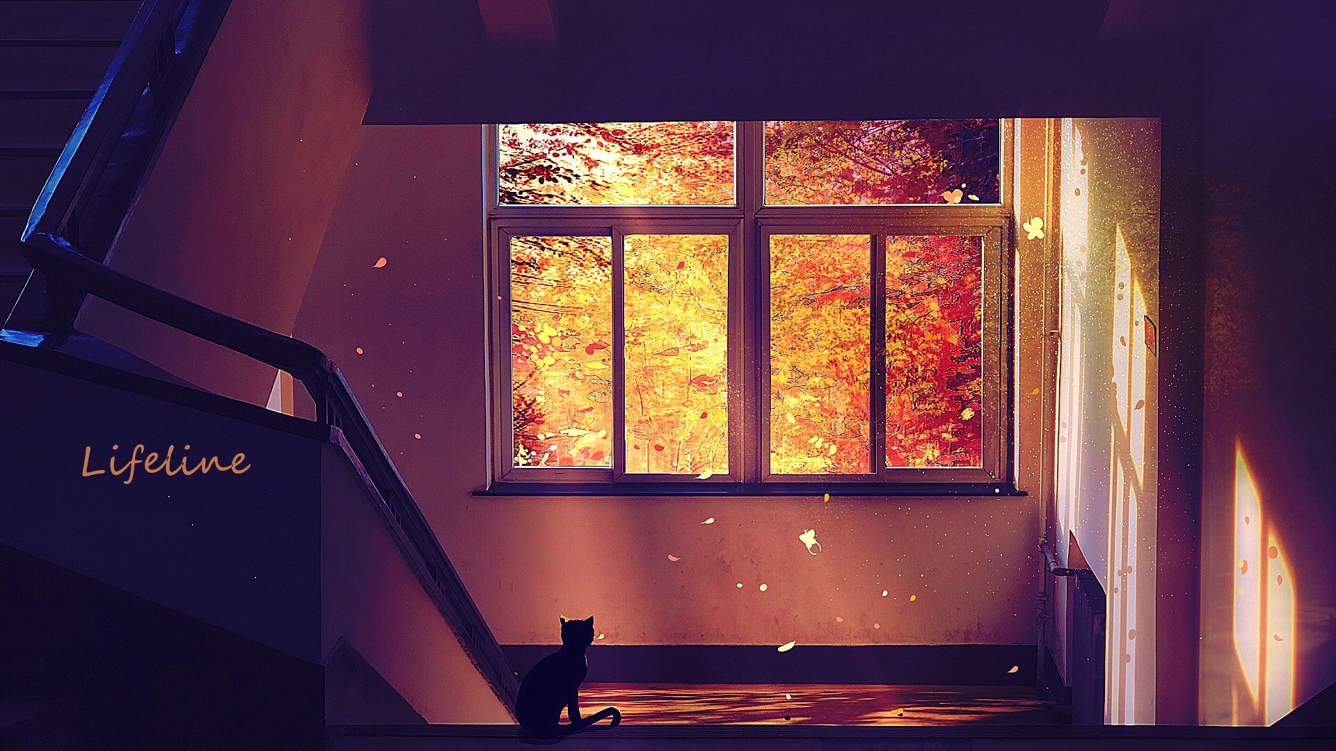 Cat Sitting On The Stairs Hd Wallpaper Hintergrund 1920x1080 Id 1064215 Wallpaper Abyss