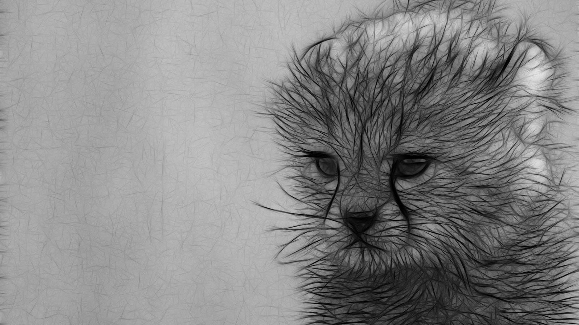 Графические рисунки животных простым карандашом