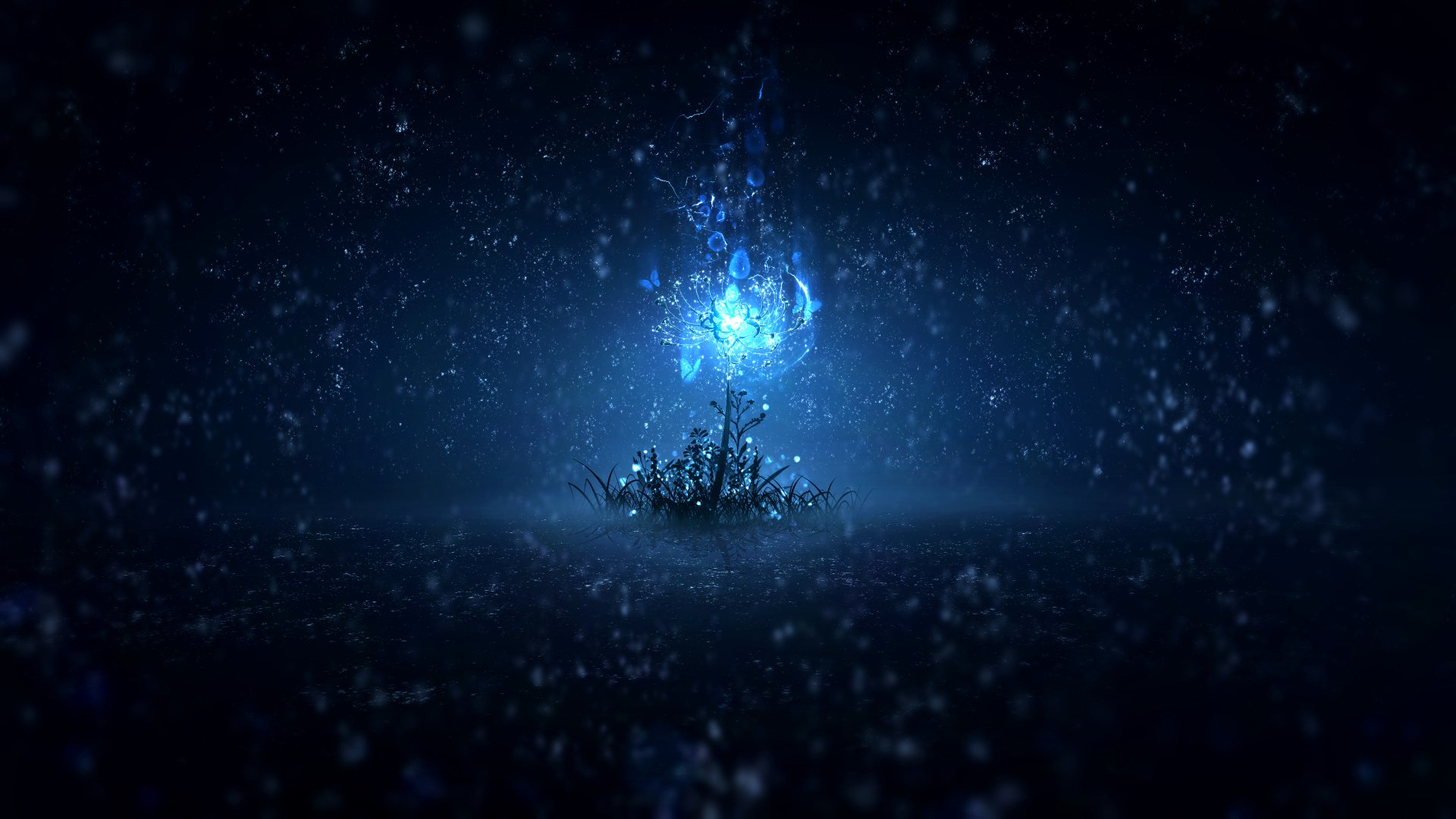 HD anime-style wallpaper depicting a luminescent blue flower glowing under a starry night sky.