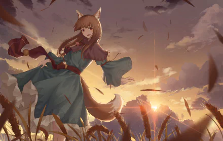 Holo (Spice & Wolf) Anime Spice and Wolf HD Desktop Wallpaper | Background Image