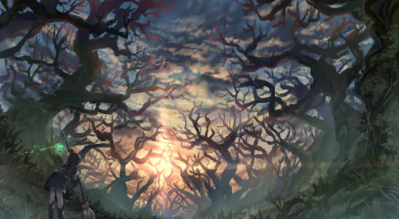 witch Atsuko Kagari sunset forest Anime Little Witch Academia anime sunset anime forest HD Desktop Wallpaper | Background Image