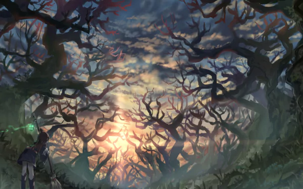 witch Atsuko Kagari sunset forest Anime Little Witch Academia anime sunset anime forest HD Desktop Wallpaper | Background Image