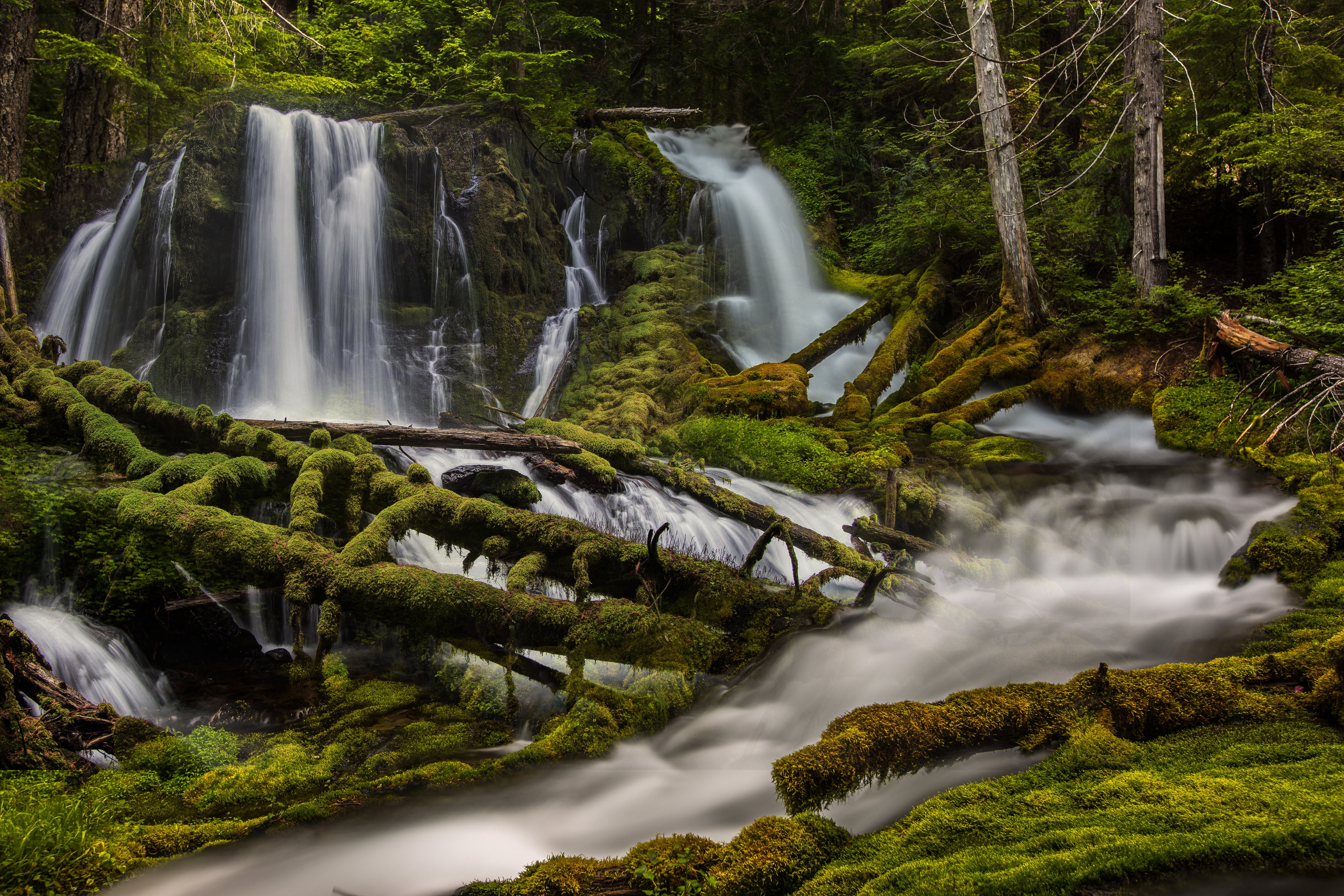 Big creek. Штат Вашингтон природа водопады. Шварцвальд водопады. Природа лес водопад. Лесной водопад.