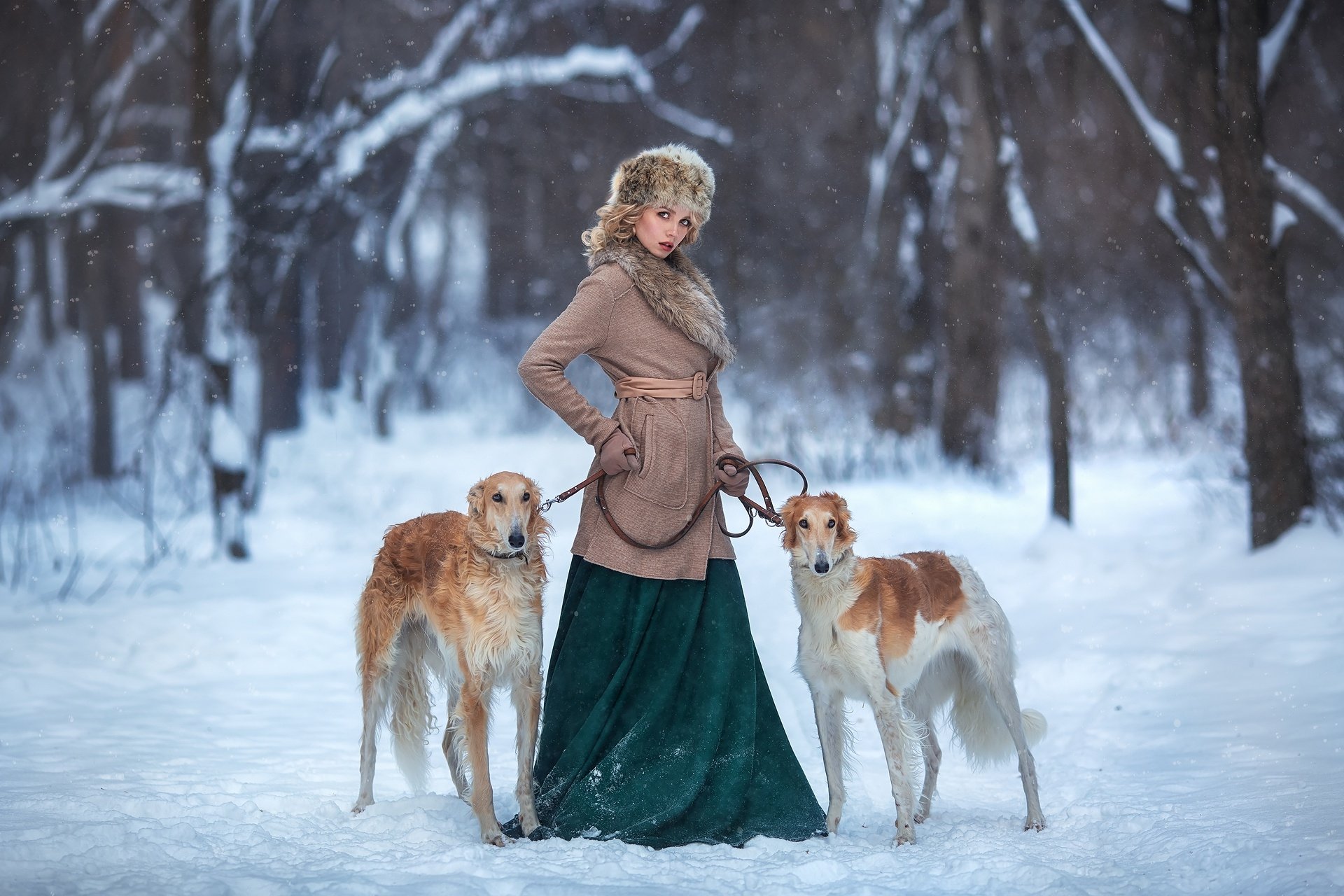 Download Saluki Hat Depth Of Field Snow Dog Winter Woman Model HD Wallpaper by Anastasia Barmina
