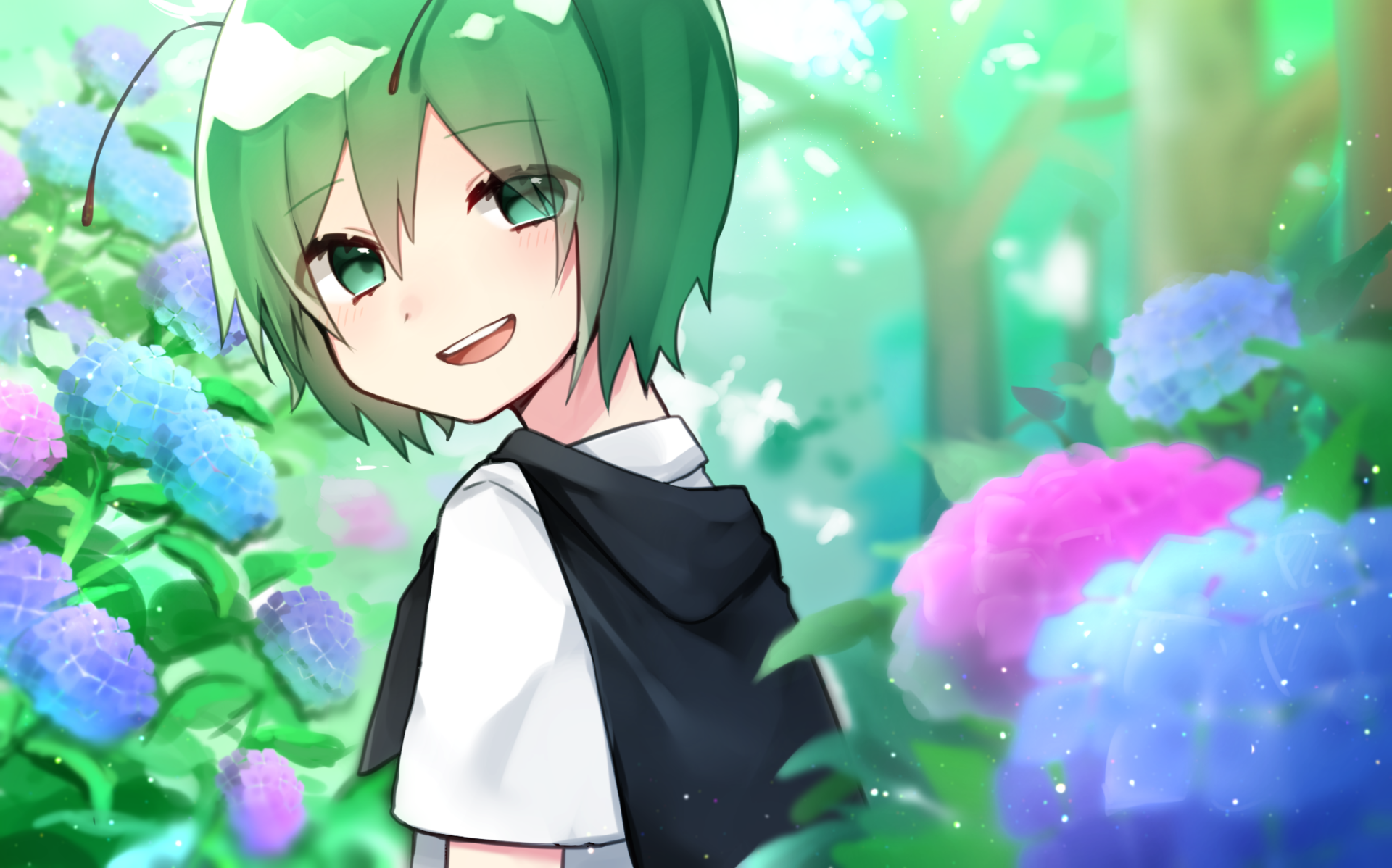 Download Wriggle Nightbug Anime Touhou HD Wallpaper by 鰹節