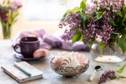 meringue flower photography still life HD Desktop Wallpaper | Background Image