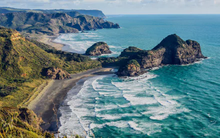 A stunning HD desktop wallpaper of New Zealand’s coastal horizon, featuring lush green cliffs, rocky formations, and waves gently rolling onto a sandy beach.
