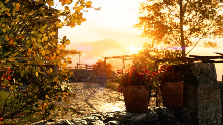 sunset Marita Battefield V video game Battlefield V HD Desktop Wallpaper | Background Image