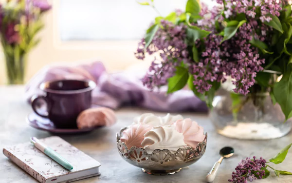 meringue flower photography still life HD Desktop Wallpaper | Background Image