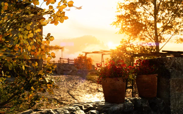 sunset Marita Battefield V video game Battlefield V HD Desktop Wallpaper | Background Image