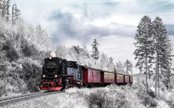 A steam train travels through a snowy winter landscape, surrounded by frosted trees under a cloudy sky, captured in stunning 4K Ultra HD detail.