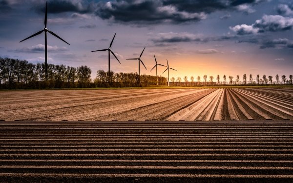 Man Made Wind Turbine Netherlands Field HD Wallpaper | Background Image