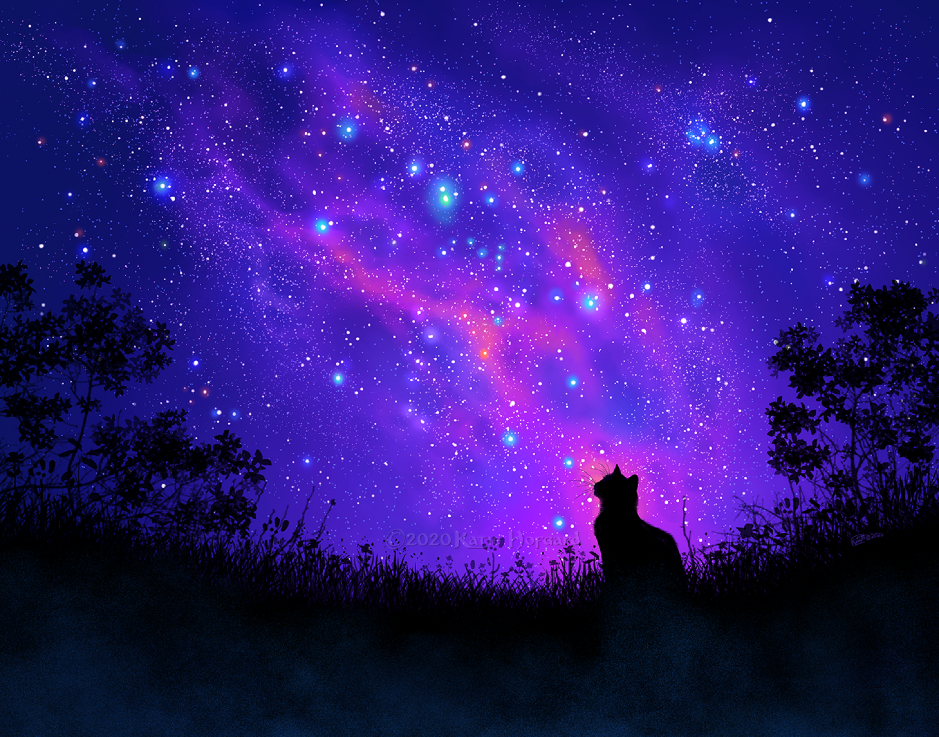 Cat Looking up at Colorful Sky
