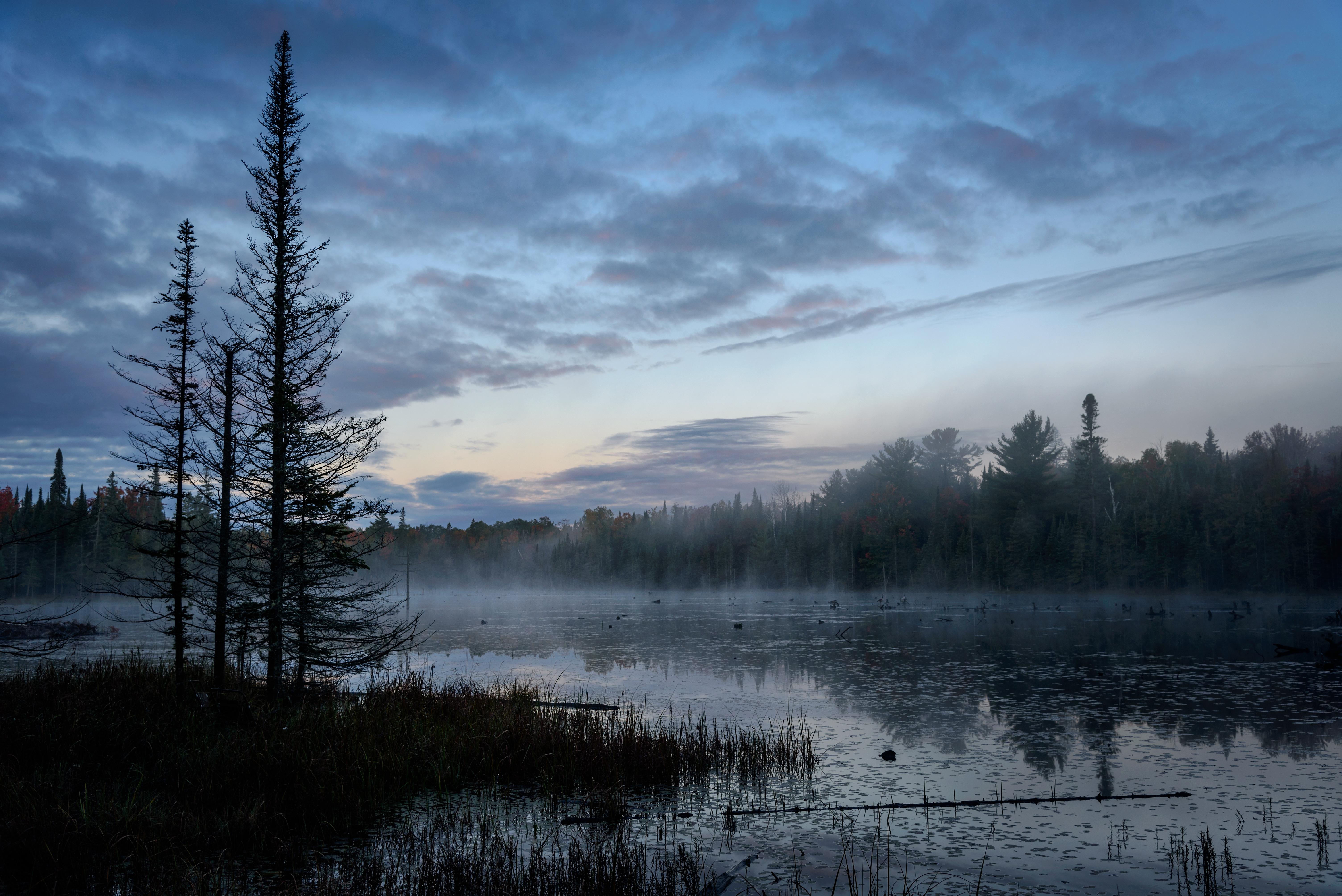 Download Lake Nature Fog 4k Ultra HD Wallpaper