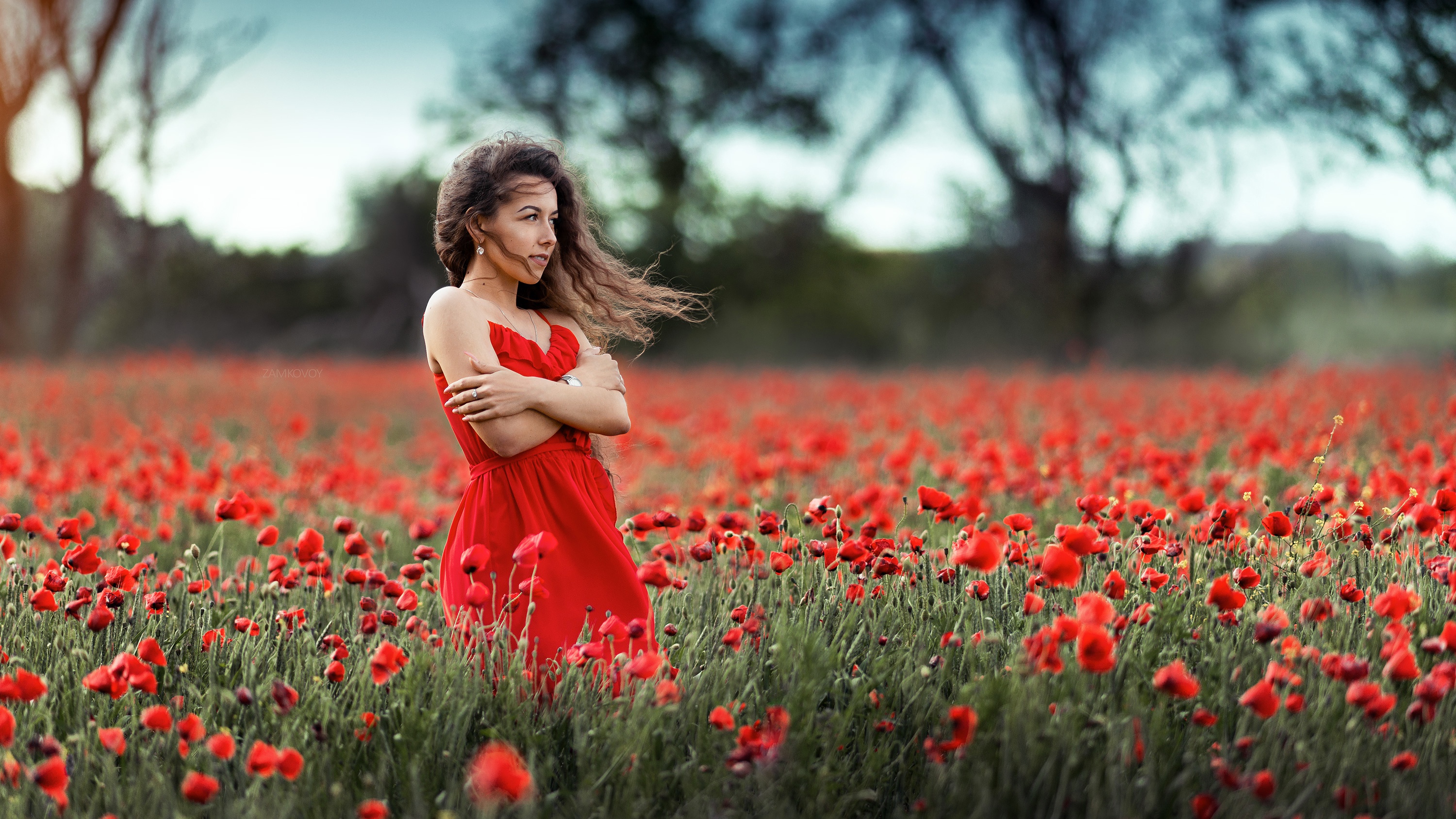 Download Red Flower Poppy Flower Depth Of Field Red Dress Brunette ...